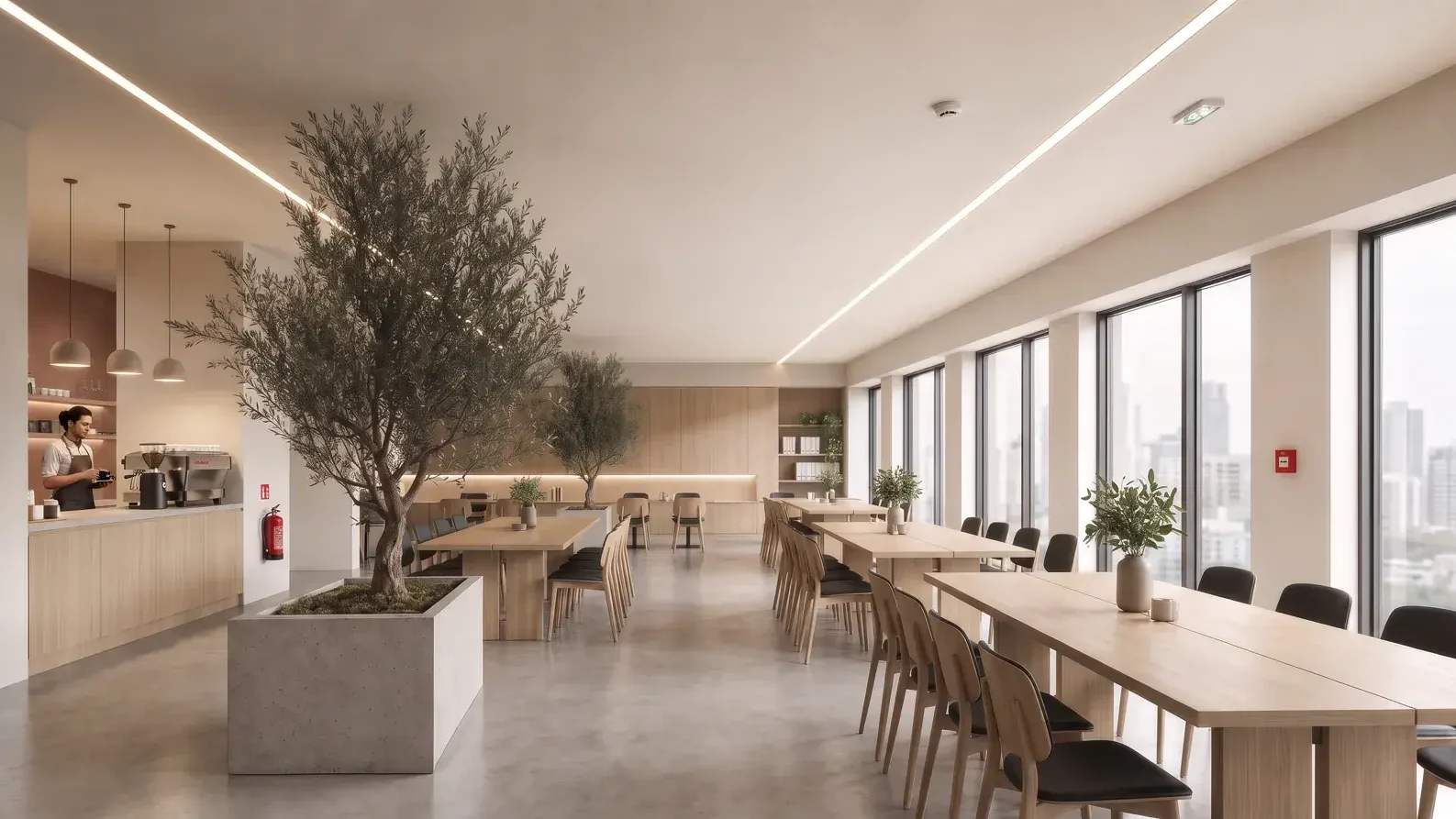 Trimless linear lighting in a cafeteria
